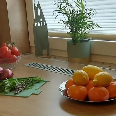 Ferienhaus Distelfink Dom wakacyjny *